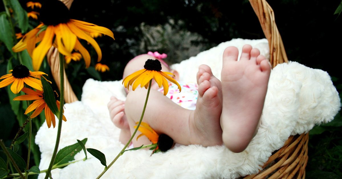A newborn's bare feet rest on a white blanket in a wicker basket beside yellow flowers